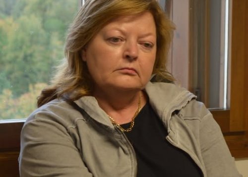 Slika članka