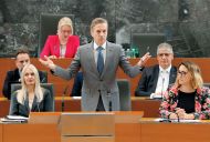 Slika članka