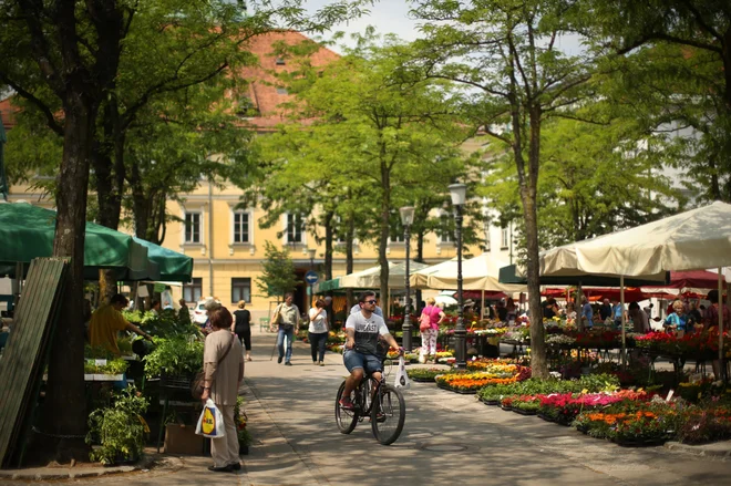 Slika članka