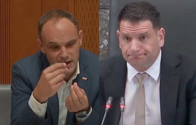 Slika članka