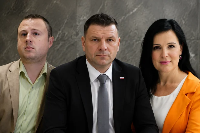 Slika članka
