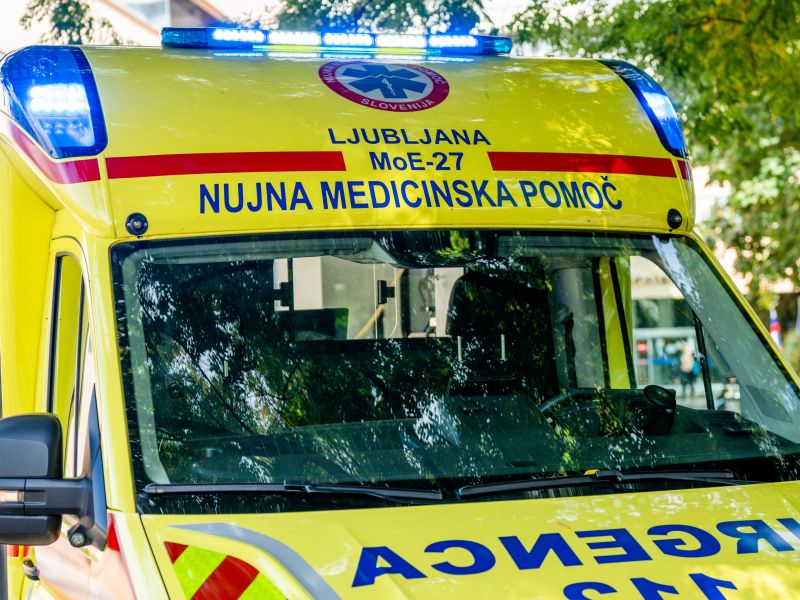 Slika članka