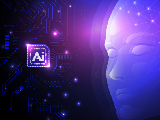 Slika članka