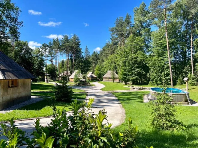 Slika članka
