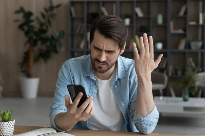 Slika članka