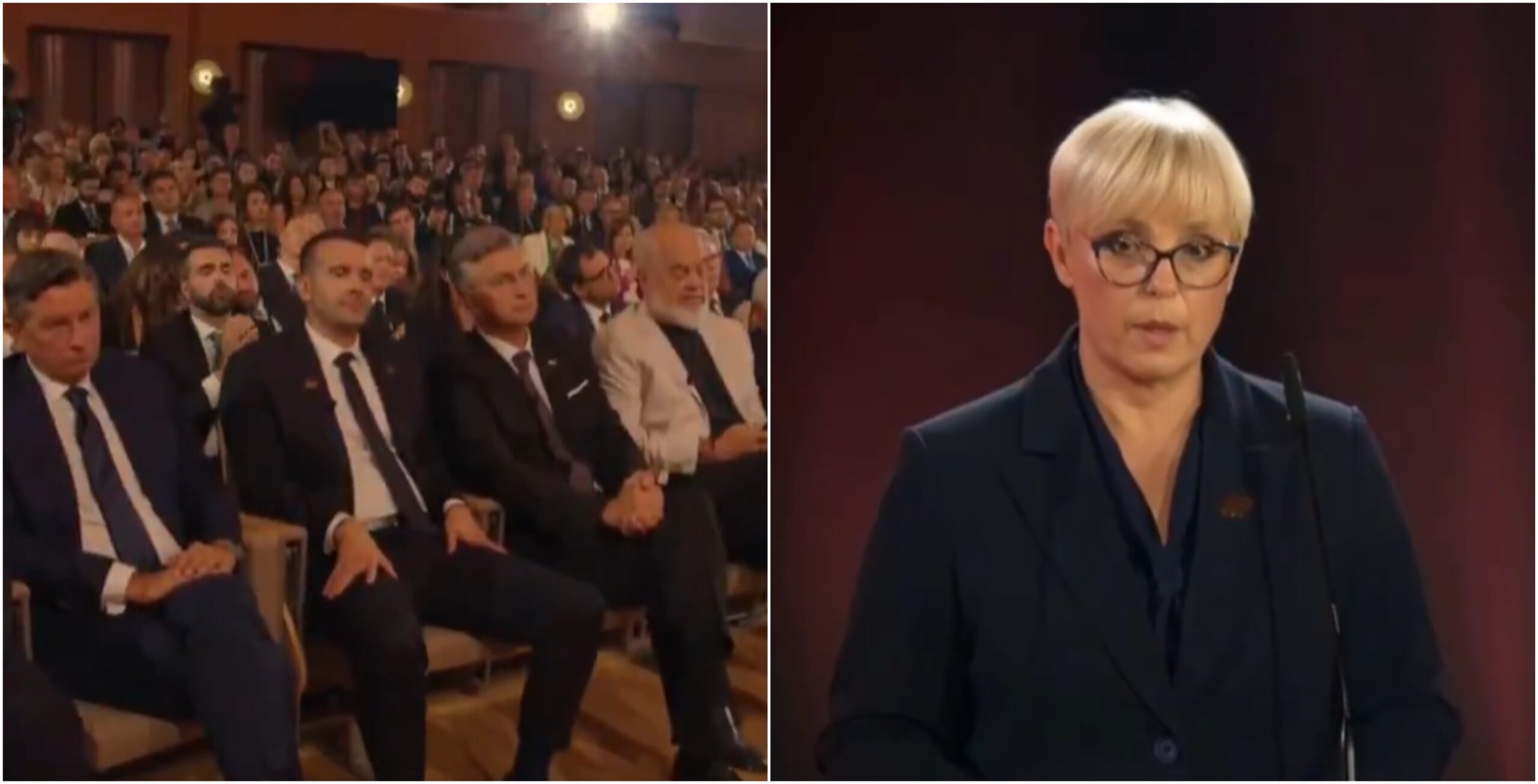 Slika članka