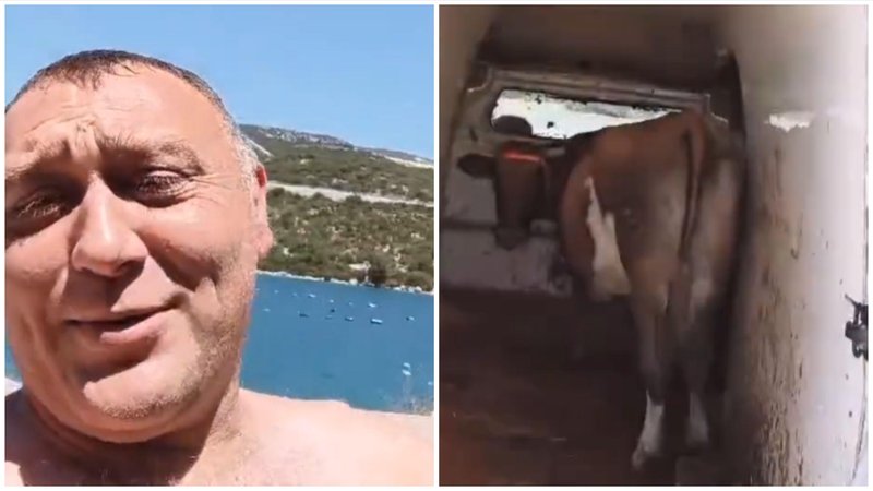 Slika članka