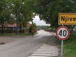 Slika članka