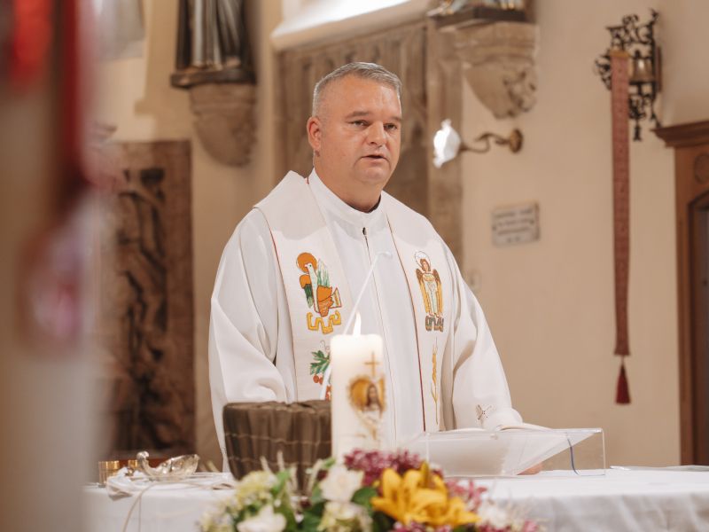 Slika članka