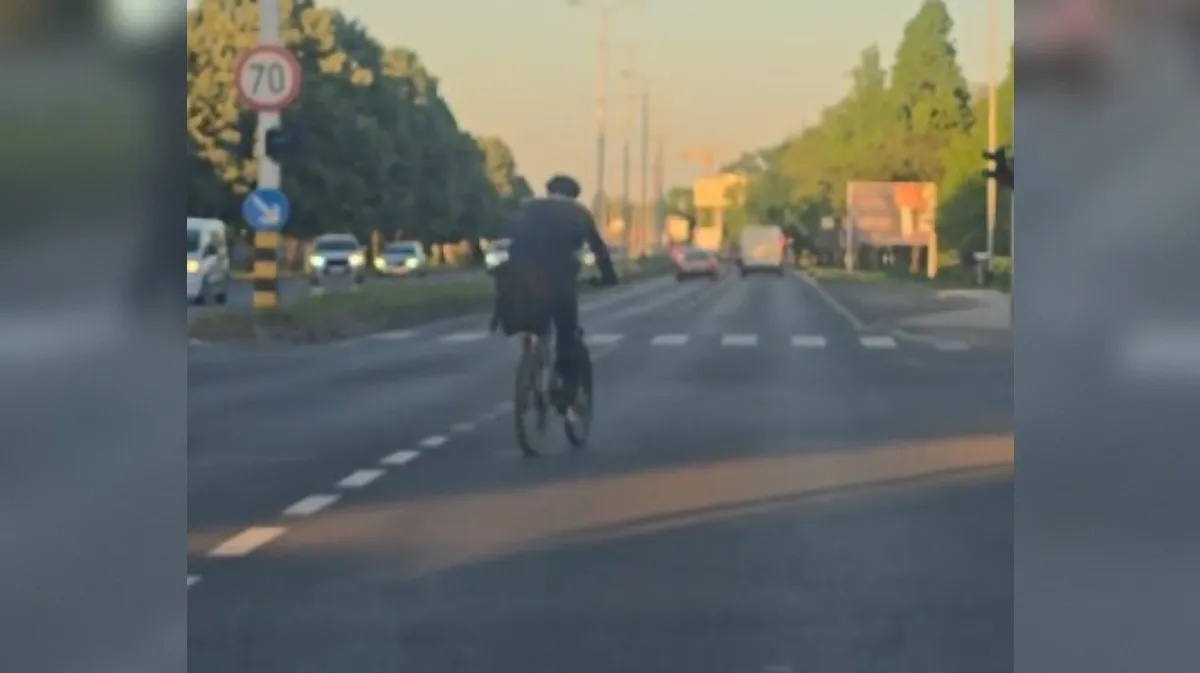 Slika članka