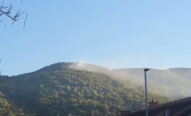 Slika članka