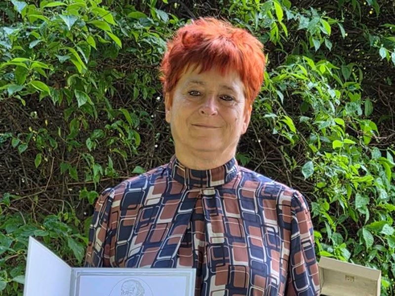 Slika članka