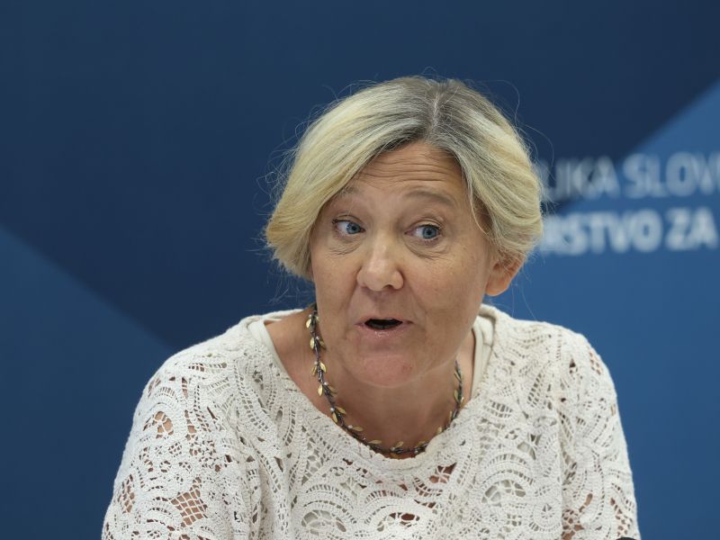 Slika članka
