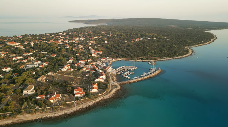 Slika članka