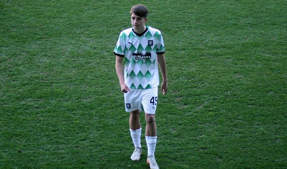 Slika članka