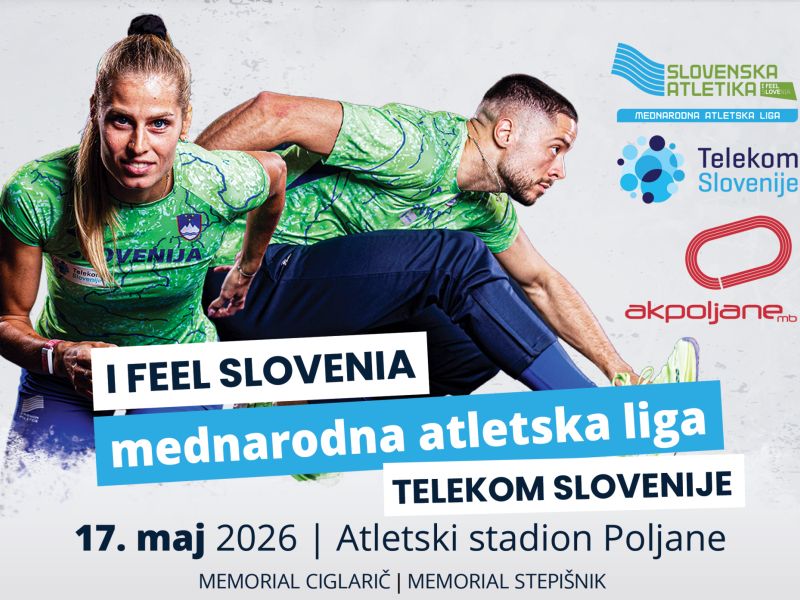 Slika članka