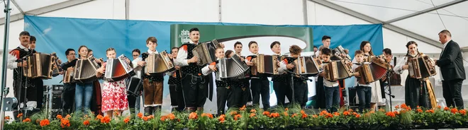 Slika članka