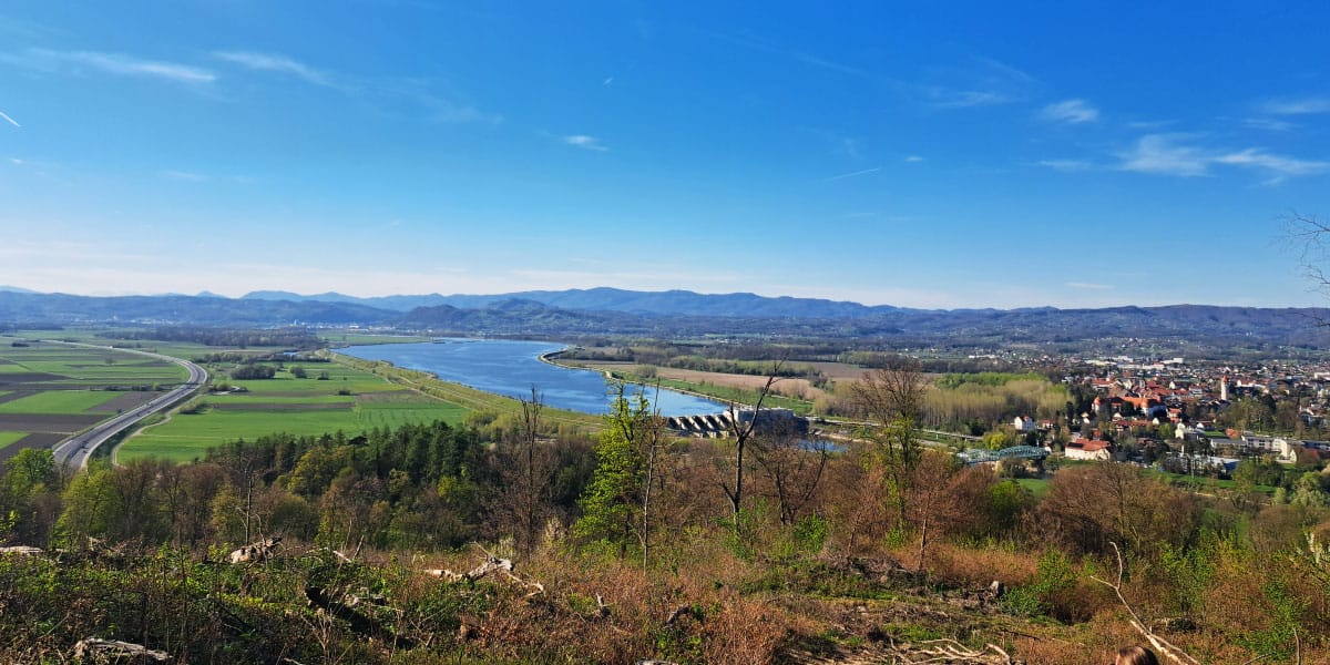 Slika članka