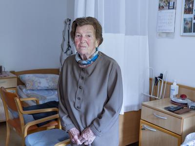 Slika članka