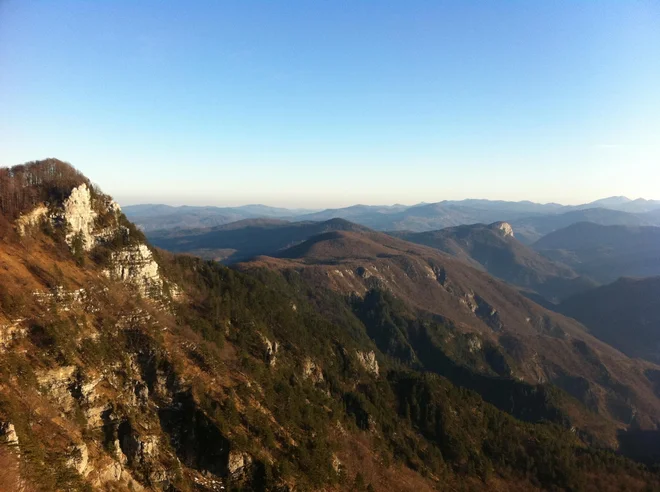 Slika članka