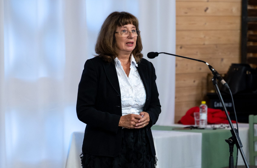 Slika članka