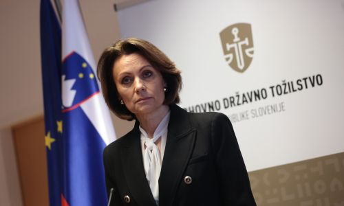 Slika članka