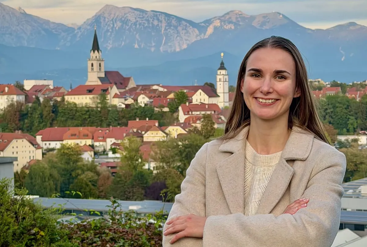 Slika članka