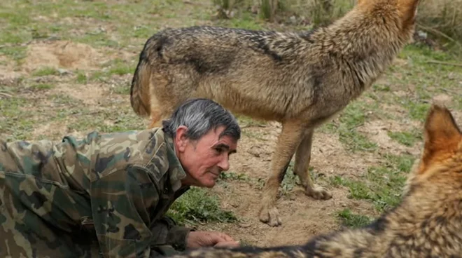Slika članka