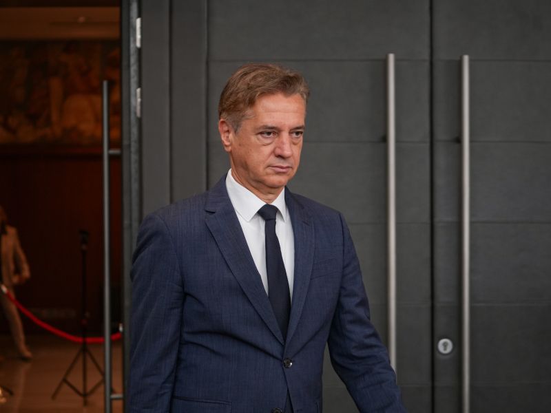 Slika članka