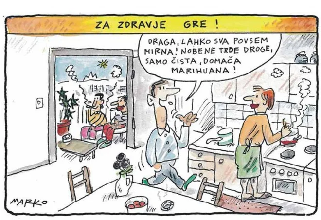 Slika članka