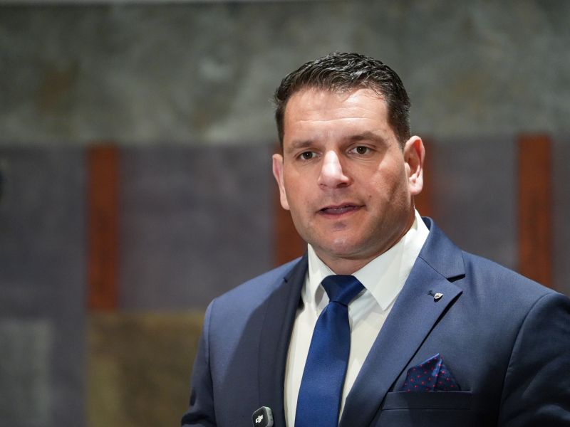 Slika članka