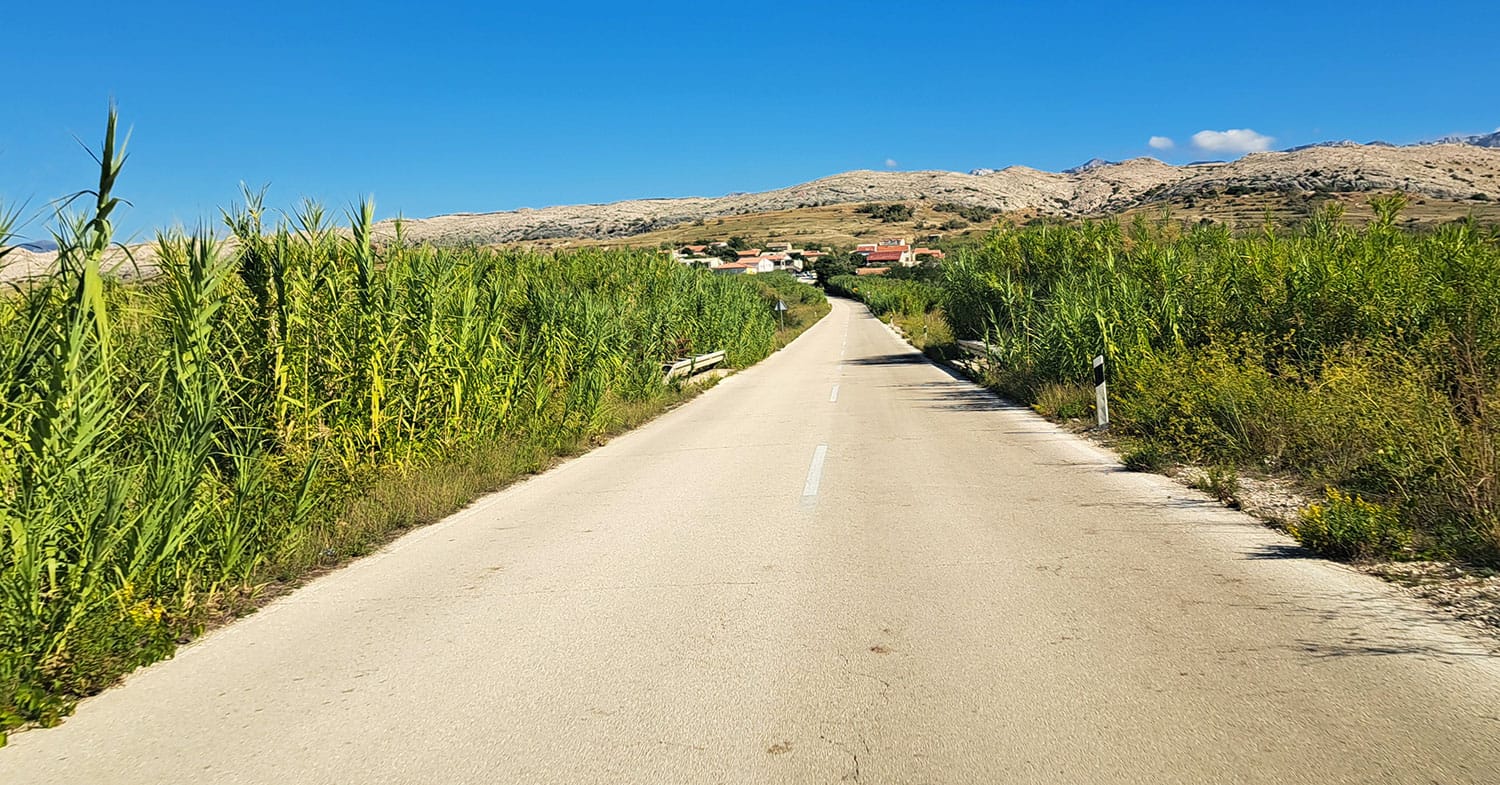Slika članka