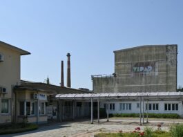 Slika članka