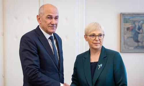 Slika članka