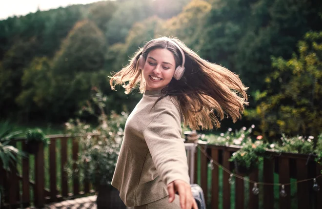 Slika članka