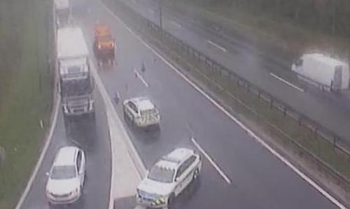 Slika članka
