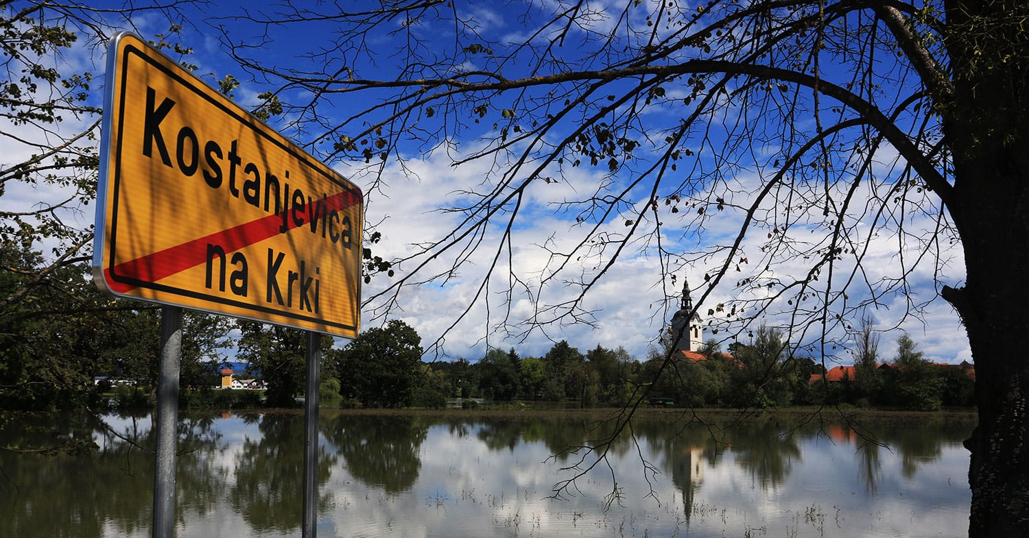 Slika članka