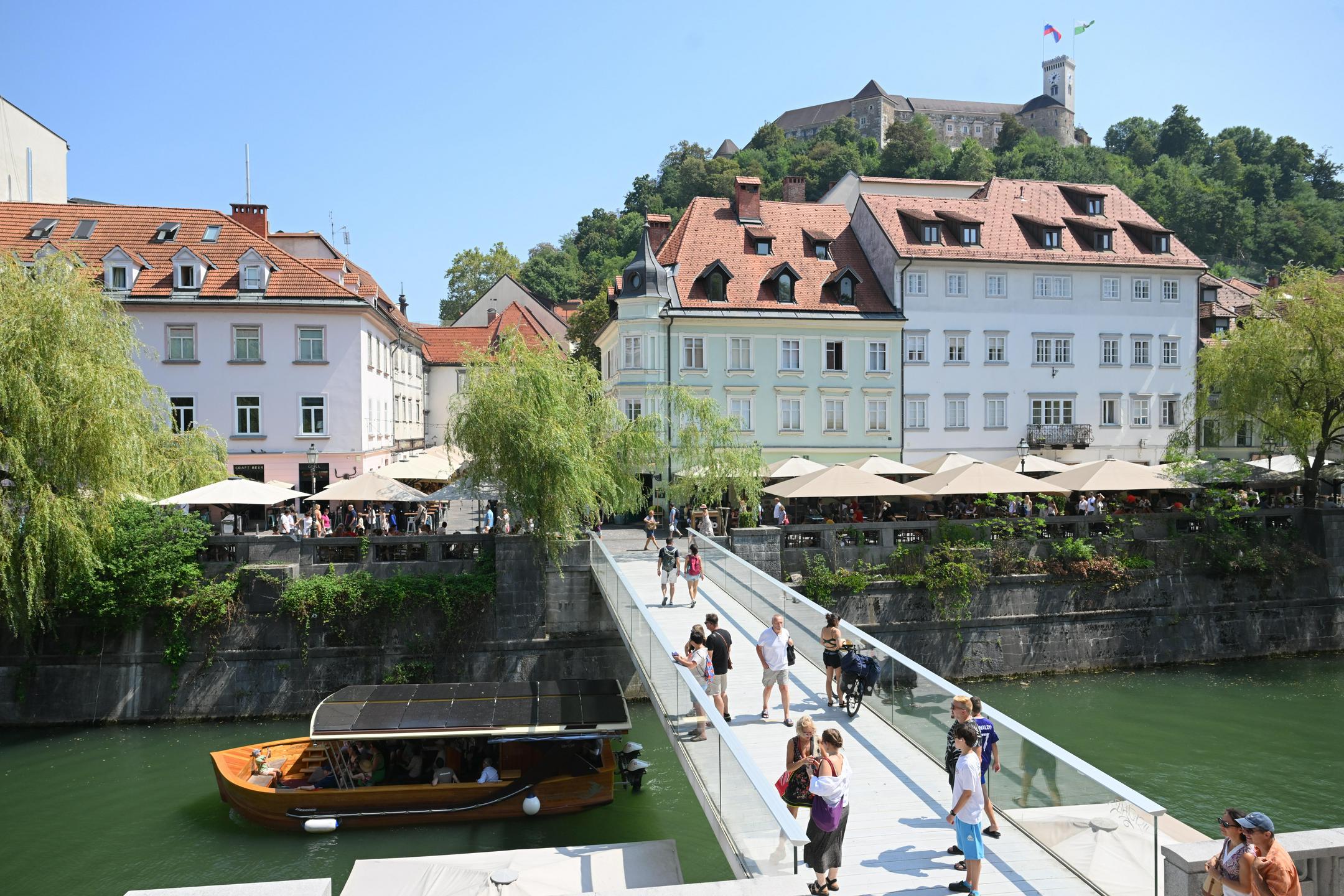 Slika članka