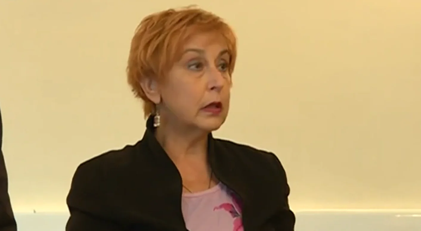 Slika članka