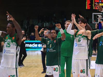 Slika članka