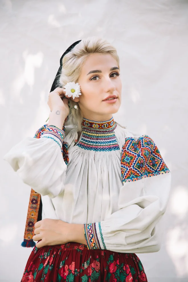 Slika članka
