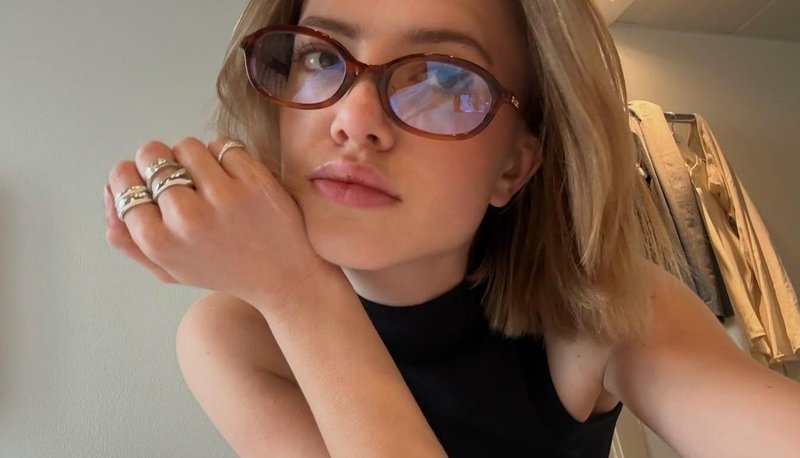 Slika članka