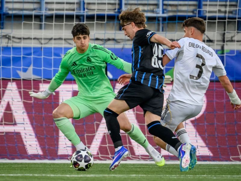 Slika članka
