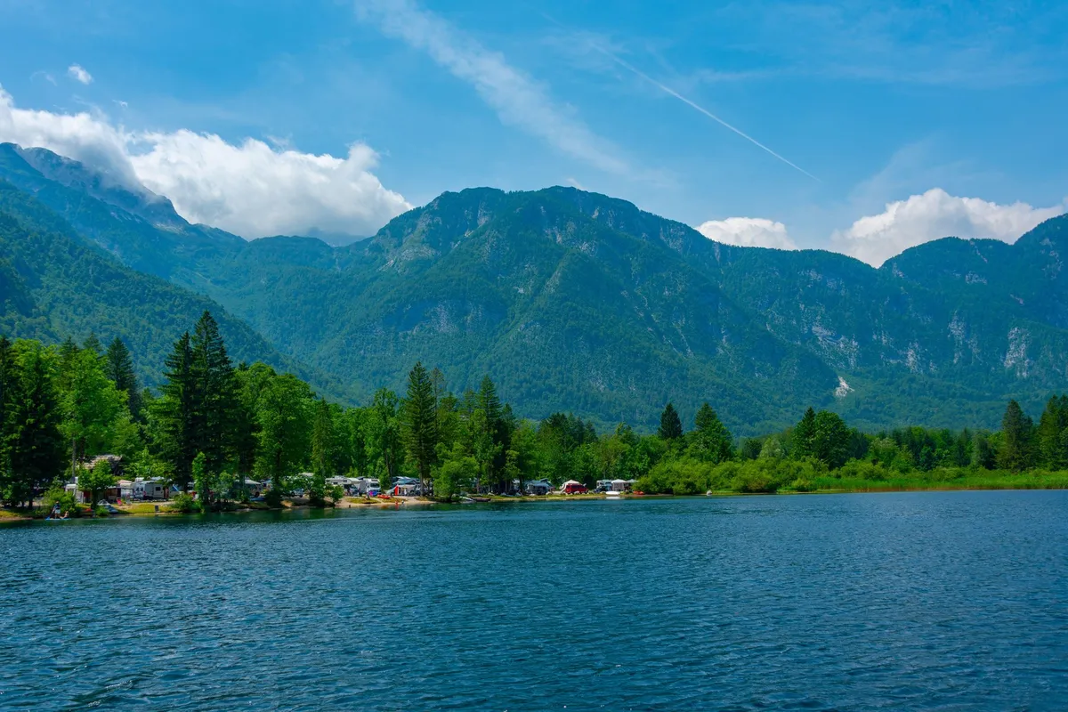 Slika članka