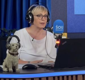 Slika članka