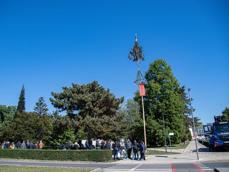Slika članka