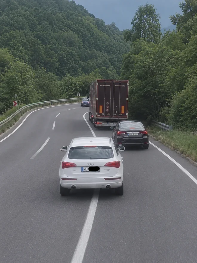 Slika članka