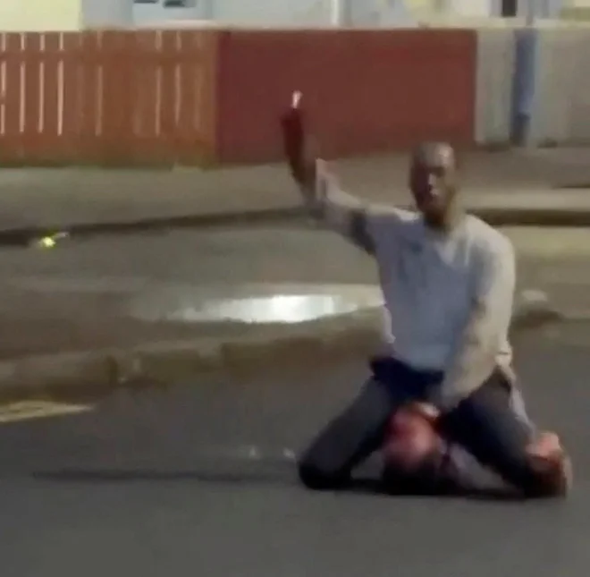Slika članka