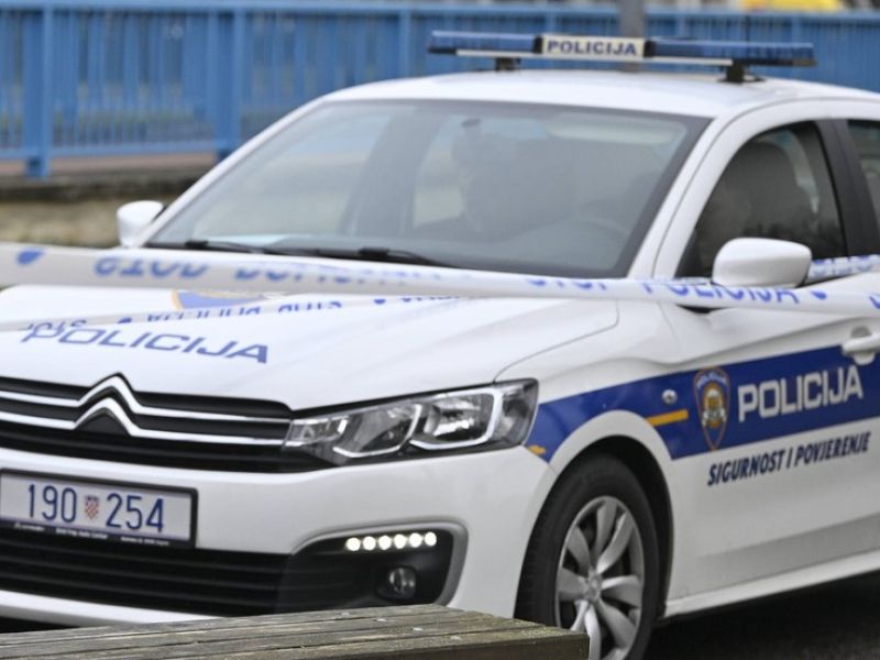 Slika članka