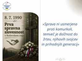 Slika članka
